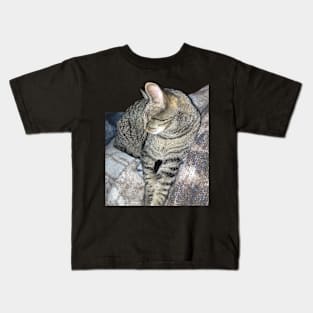 Cozy Kitty Kids T-Shirt